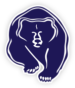 bearcubs logo